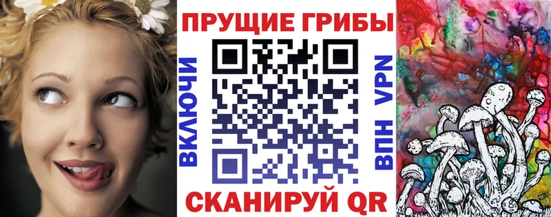 продажа наркотиков  Дивногорск  сайты даркнета состав  Галлюциногенные грибы Psilocybine cubensis 